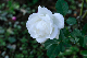 image0435