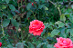 image0436