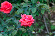 image0437