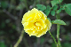 image0439