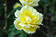 image0440
