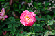 image0441