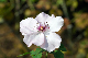 image0444