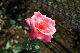 image0480