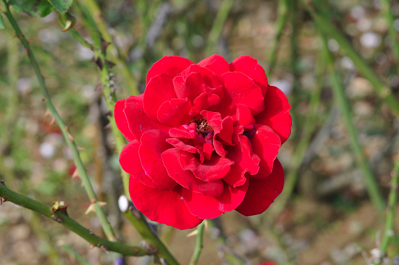 image0097