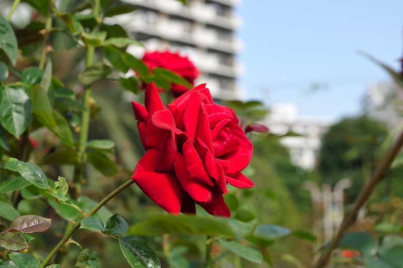 image0100
