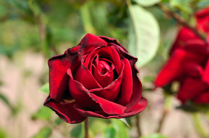 image0101