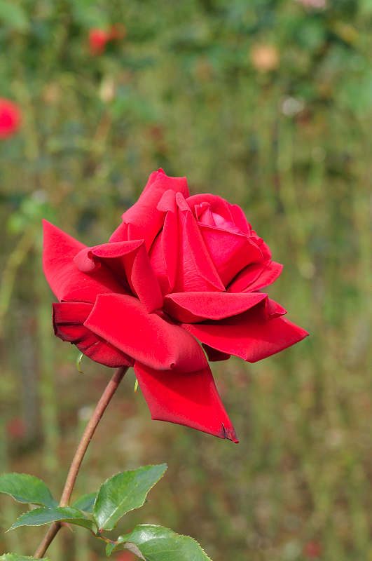 image0102
