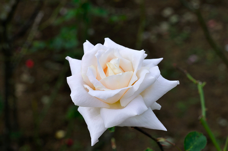 image0158