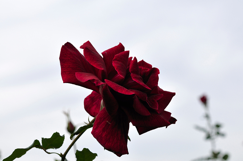 image0159
