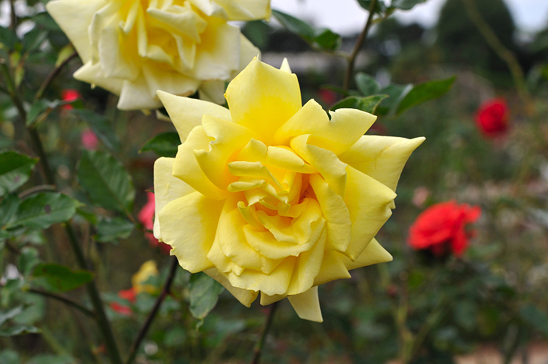 image0163