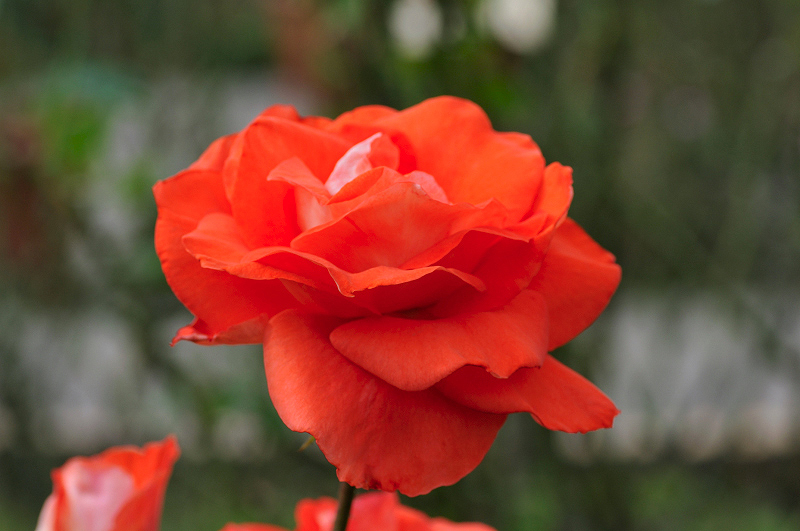 image0170