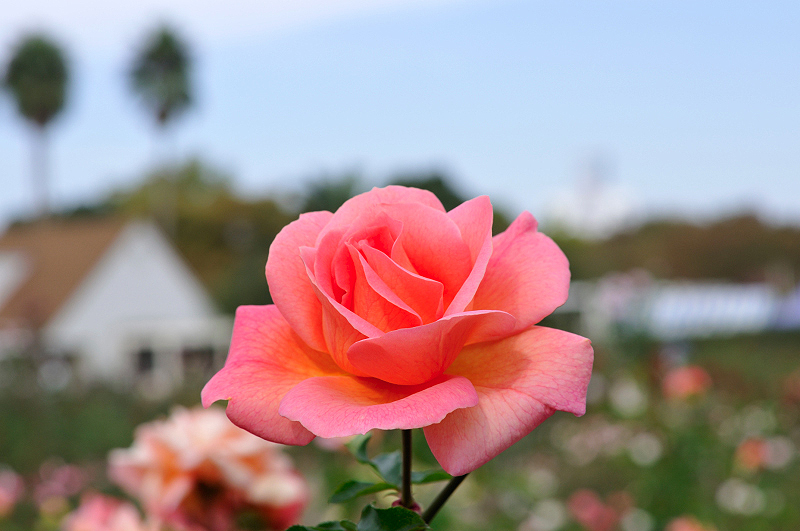 image0182