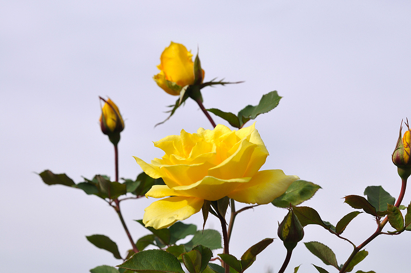 image0270