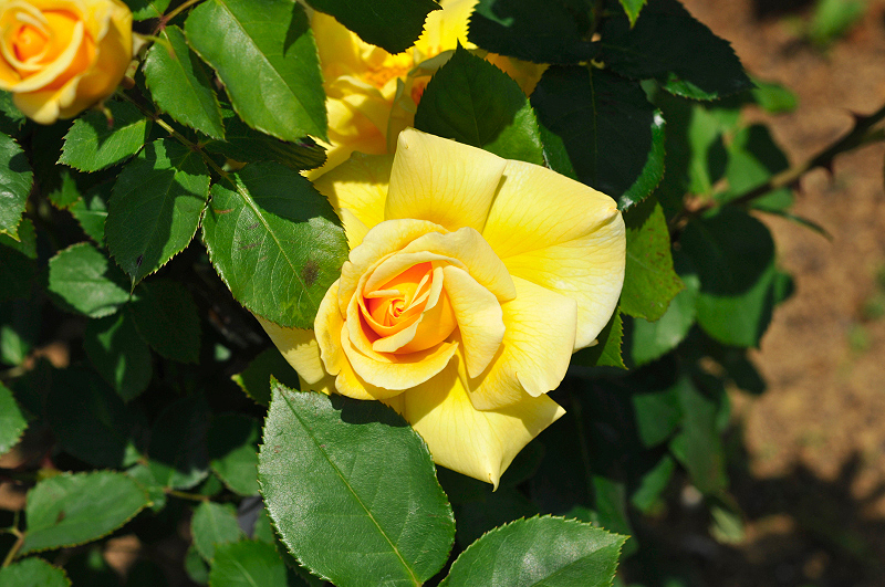 image0103