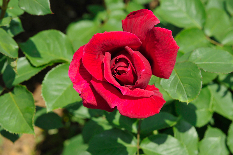image0123