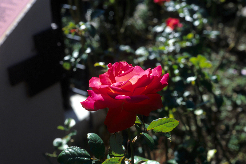 image0069