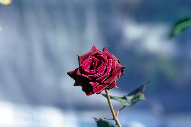 image0073