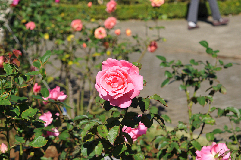 image0076