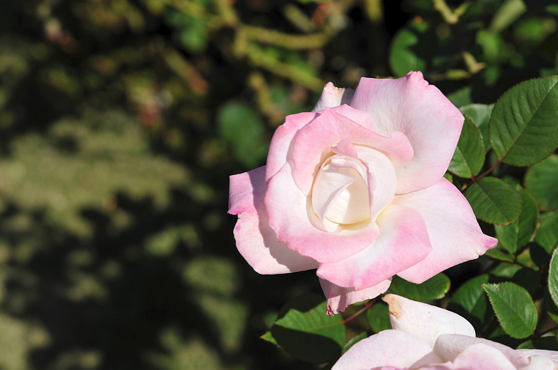 image0084