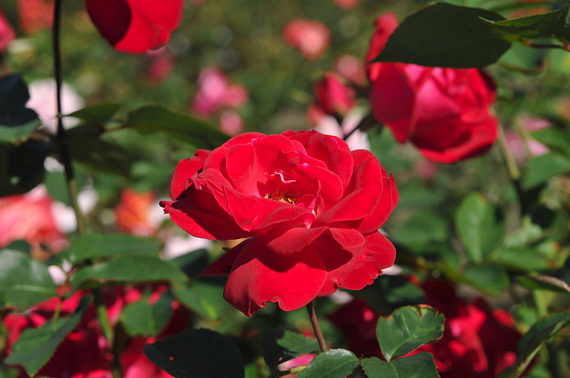 image0092