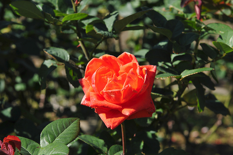 image0095