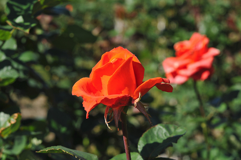 image0097