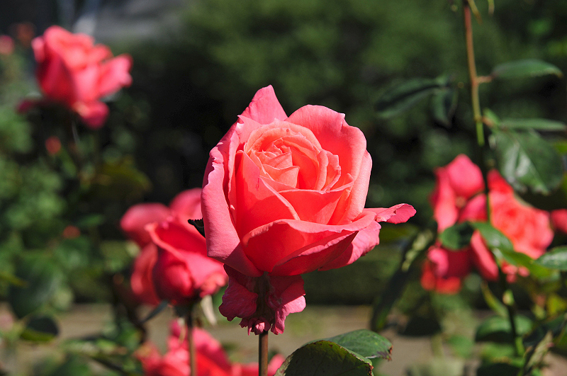 image0101
