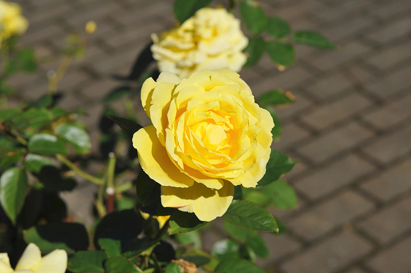 image0104