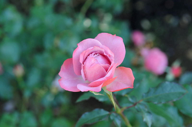 image0112