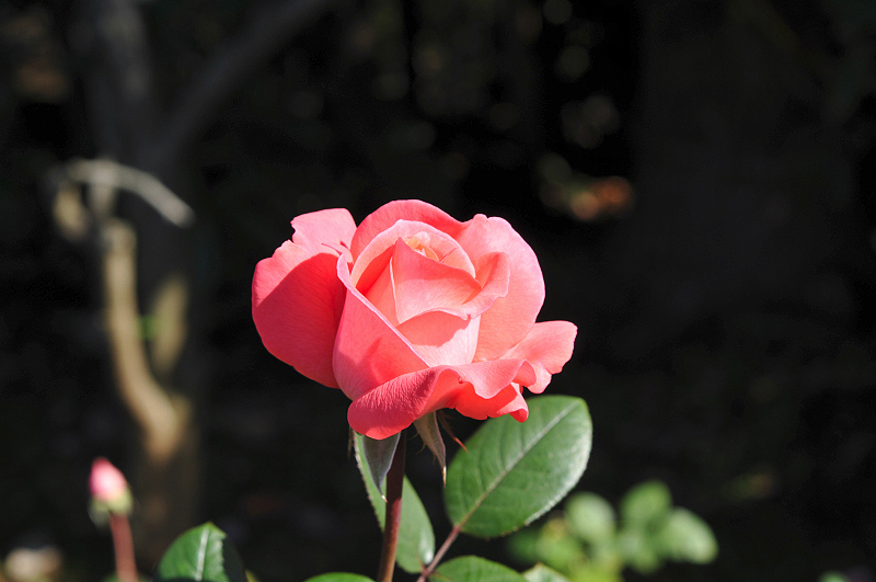 image0113