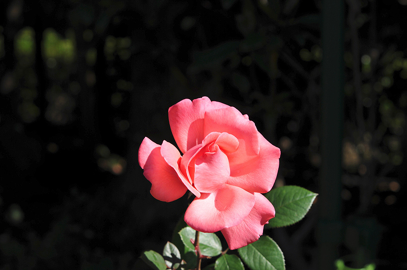 image0114
