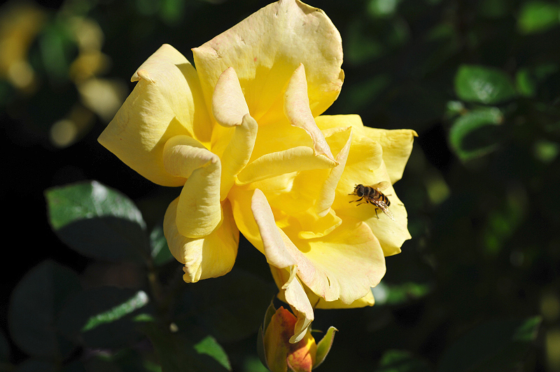 image0119