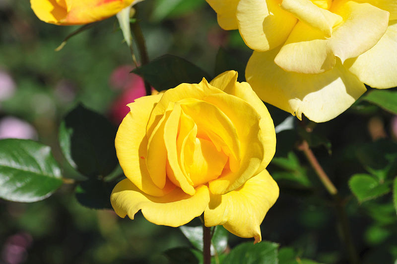 image0120