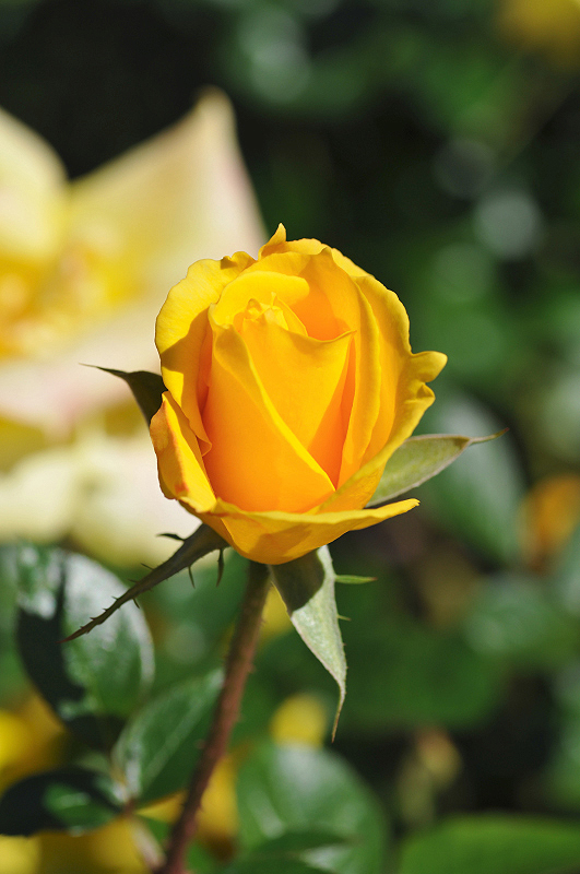 image0121
