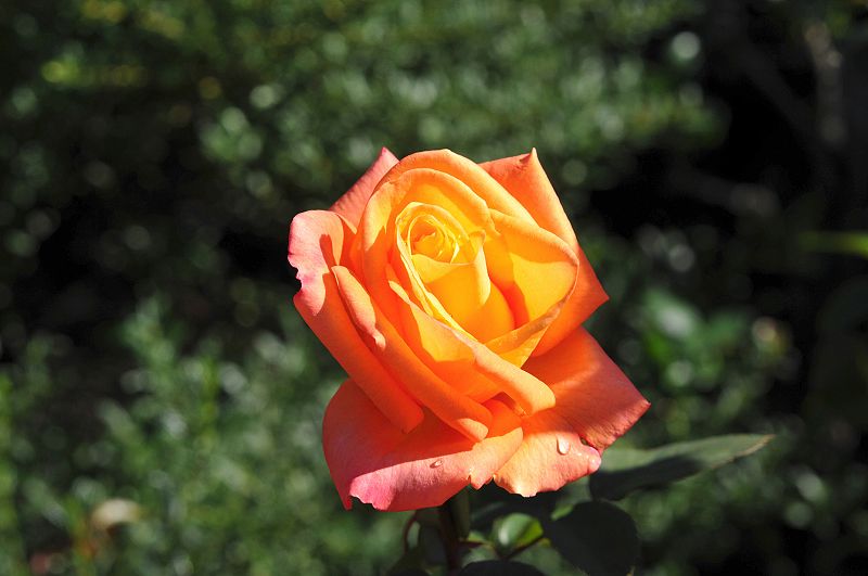 image0122