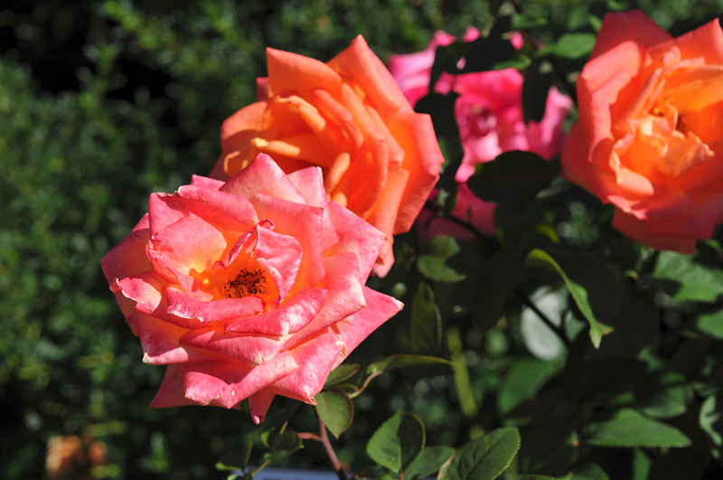 image0123