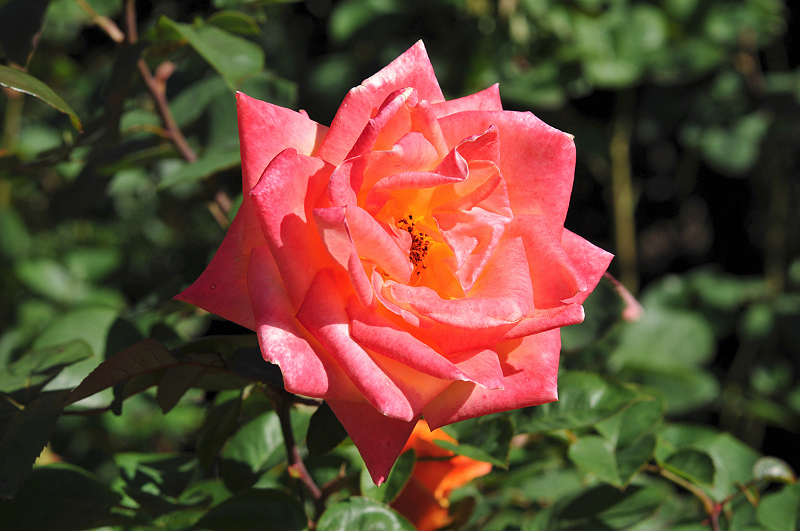 image0126