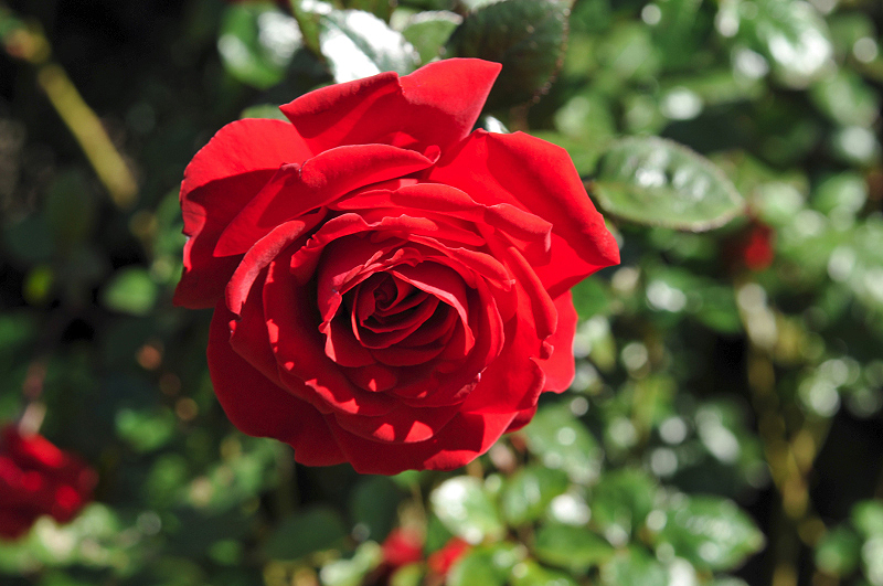 image0127