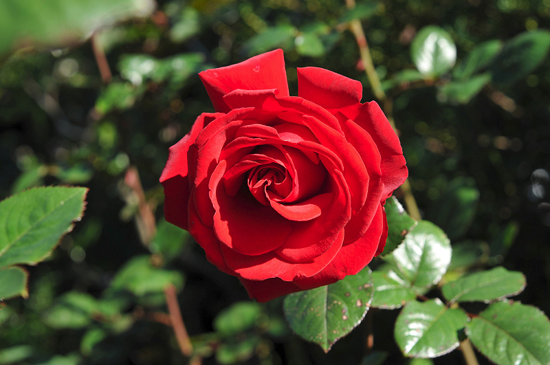 image0128