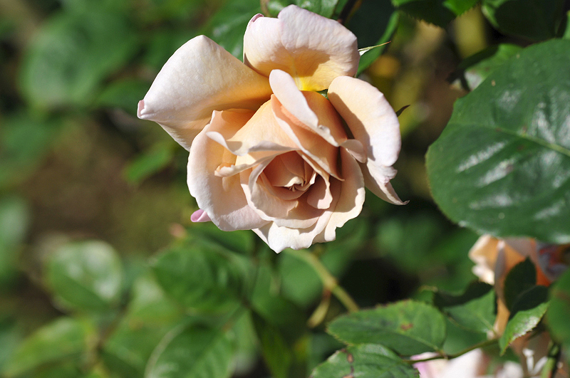 image0131