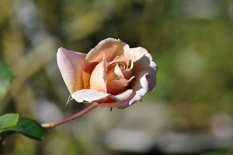 image0132
