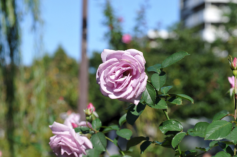 image0136