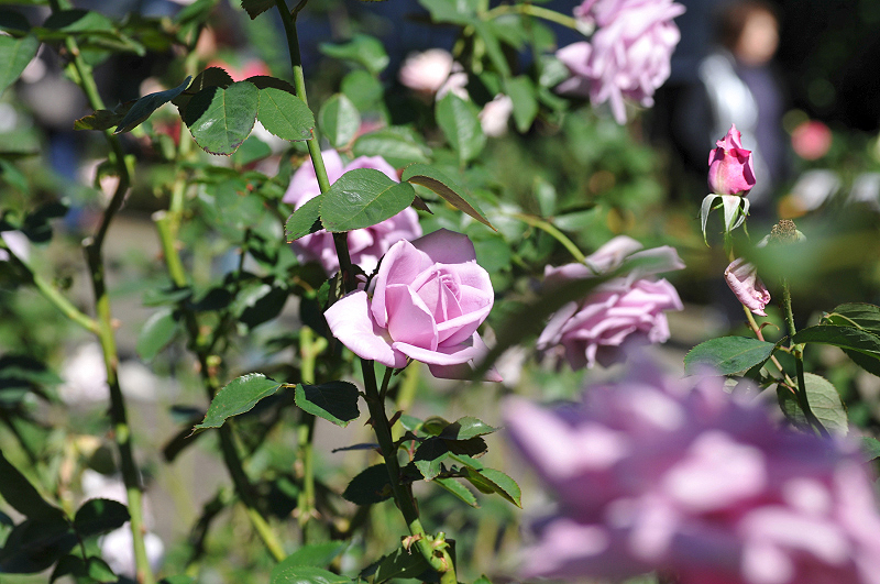 image0137
