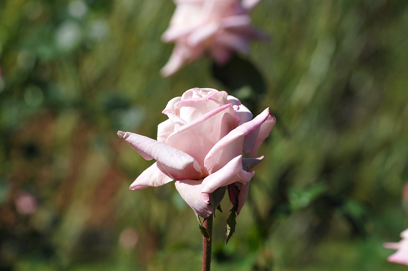 image0142