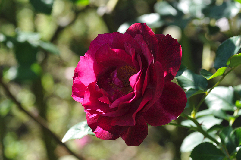 image0143