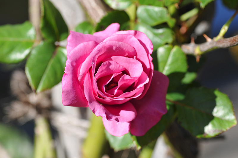 image0144