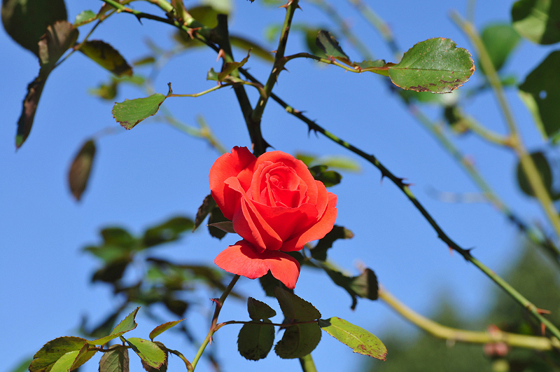 image0145