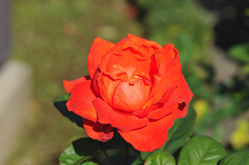 image0146