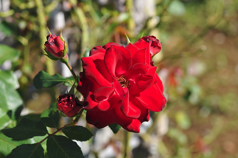 image0147